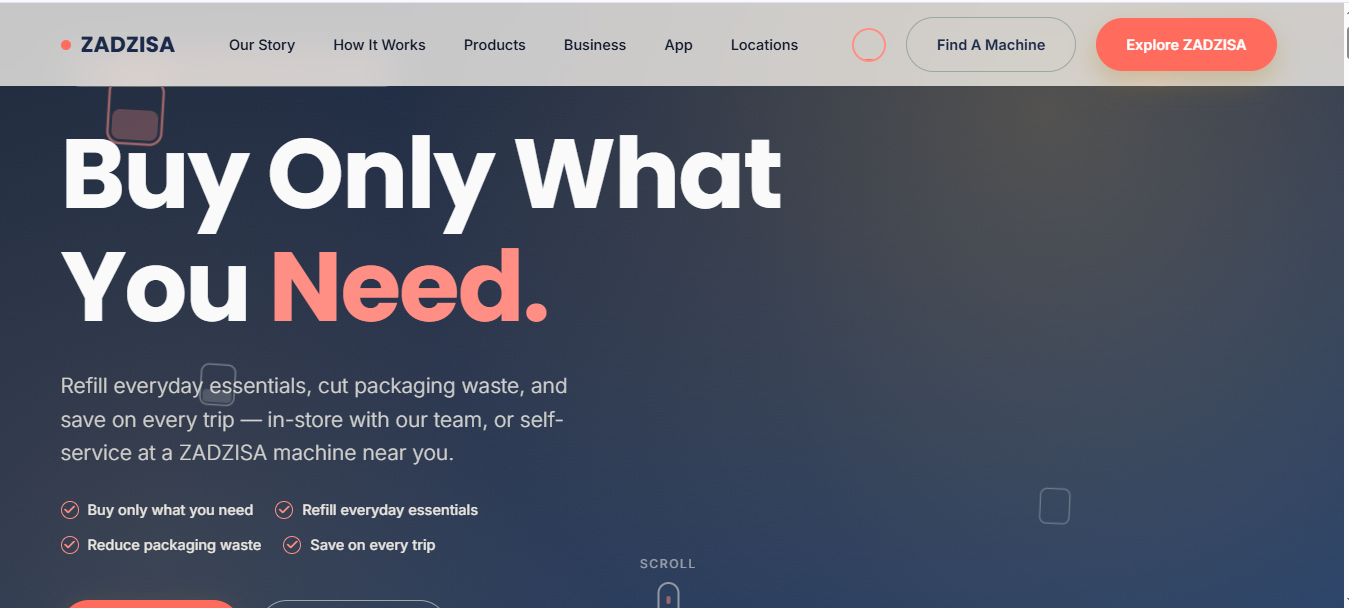 Zadzisa website